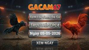 Xem Lại Video Đá Gà CPC4 Ngày 05/05/2026