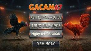 Xem Lại Video Đá Gà CPC5 Ngày 04/05/2026