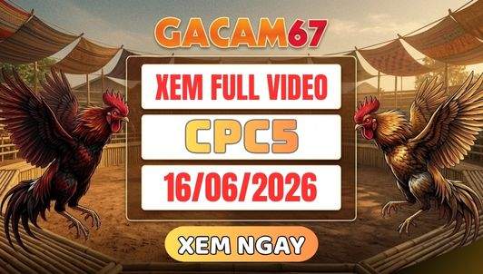 Xem Lại Video Đá Gà CPC5 Ngày 16/06/2026 Tại GACAM67